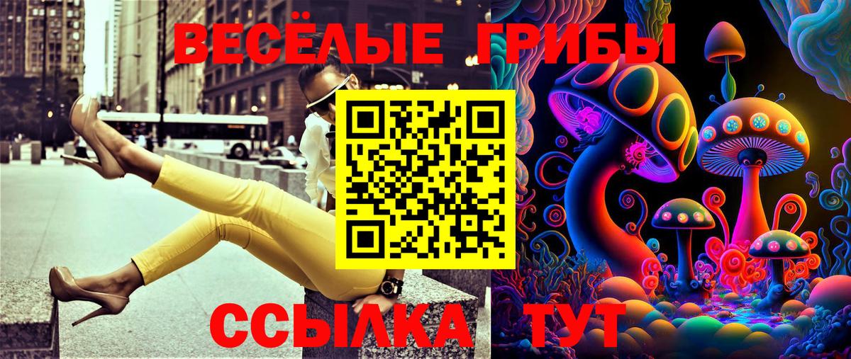 Электрогорск  Галлюциногенные грибы Magic Shrooms  Вход с VPN 