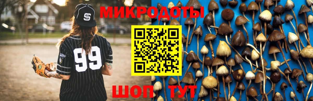 Псилоцибиновые грибы ЛСД Электрогорск