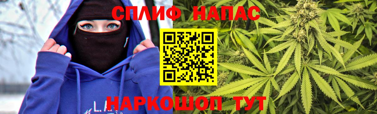 Конопля ГИДРОПОН Электрогорск
